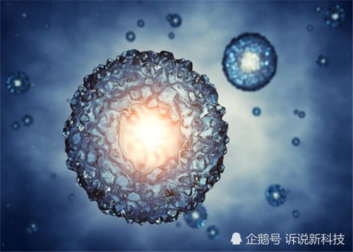 宇宙的隱秘走廊 多維空間與那些科學無法解釋的失蹤案